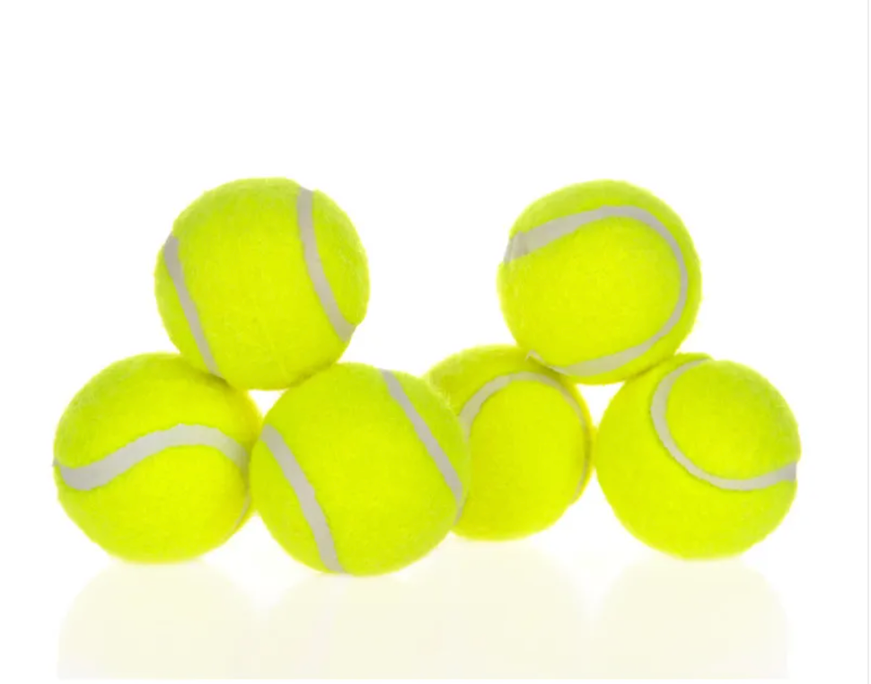 AutoFetch Dog Ball Thrower