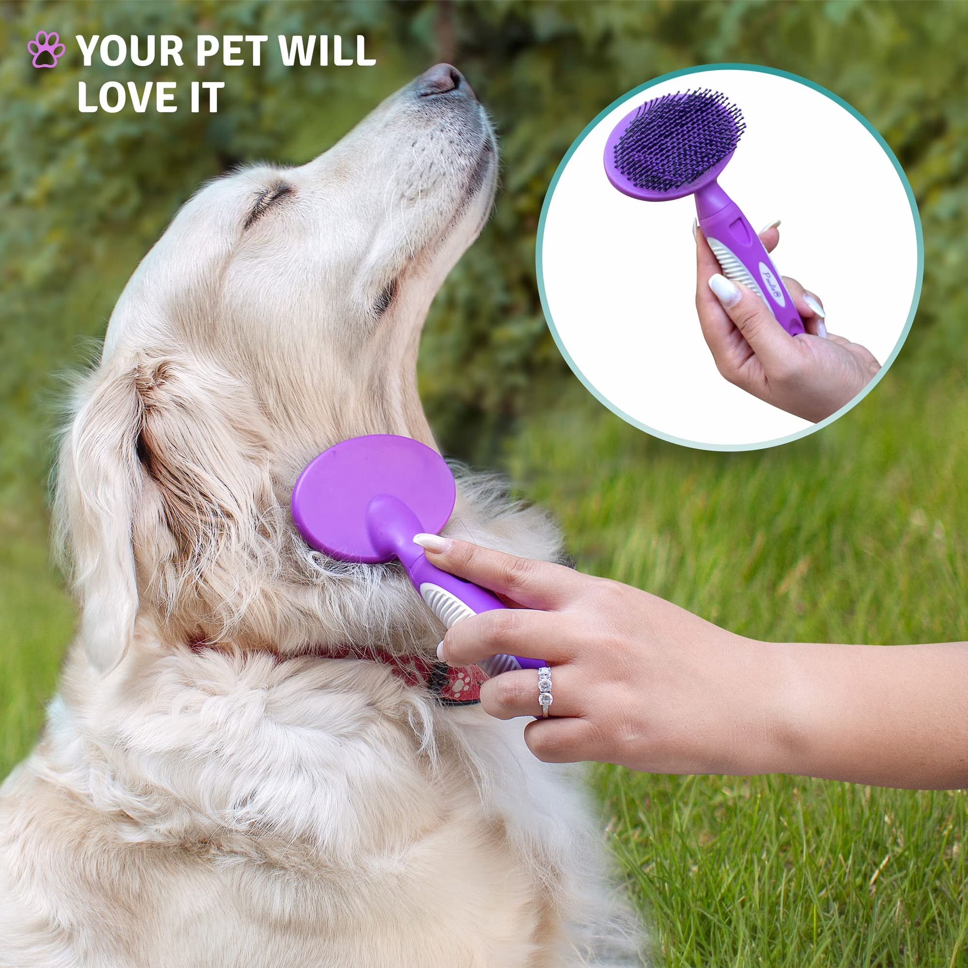 Poodle Pet round Soft Bristle Hair Brush Pet Grooming Tool for Dogs & Cats, Purple